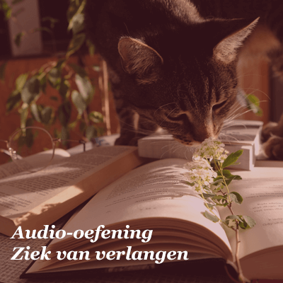 ziek-van-verlangen-audio-oefening-shop (1)