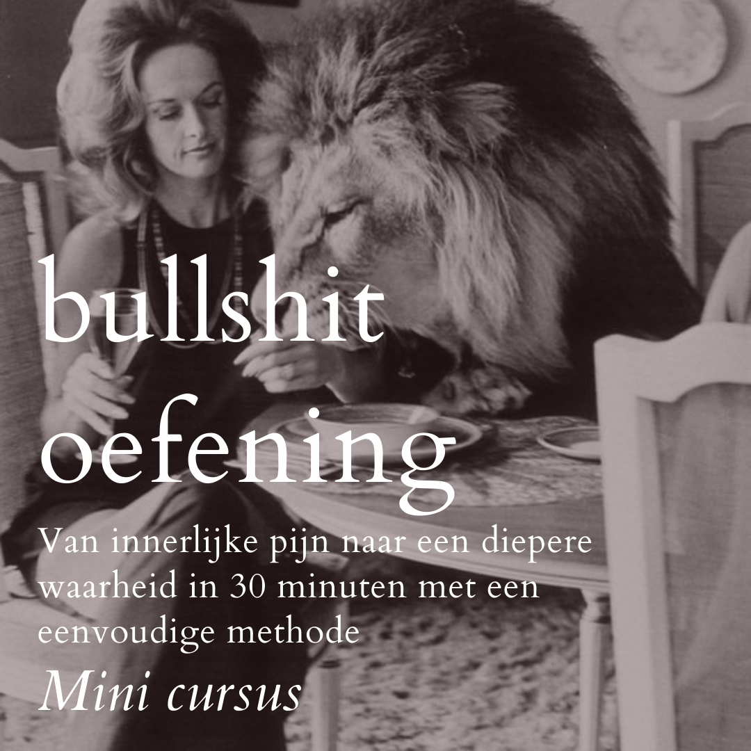 Leer de bullshit methode - van naar een diepere waarheid in 30 minuten