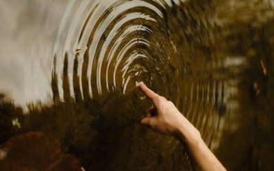 Van wie we houden is politiek